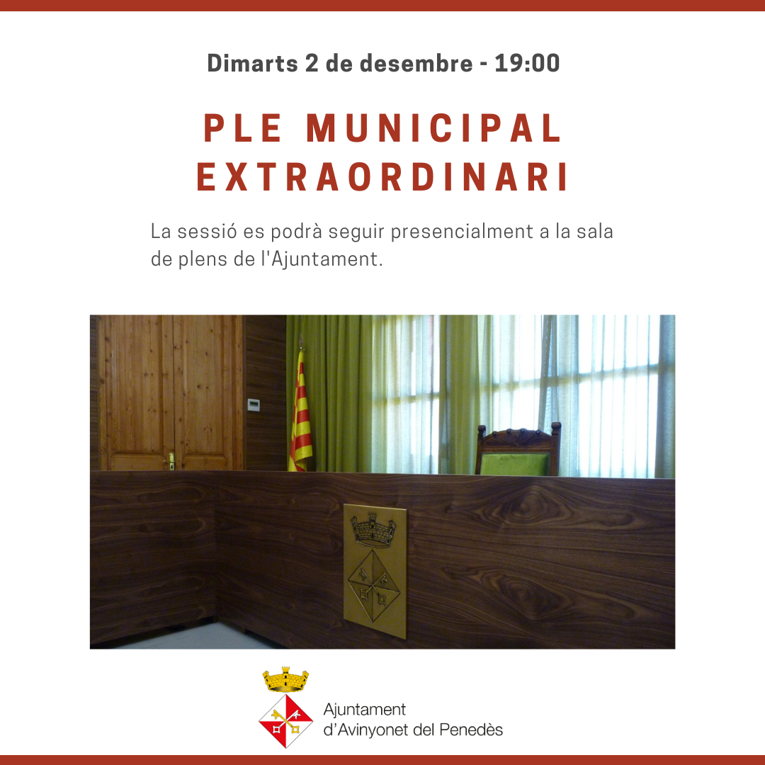 Ple municipal extraordinari