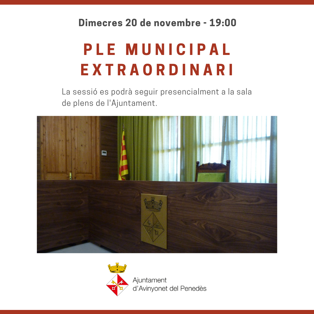 Ple municipal extraordinari