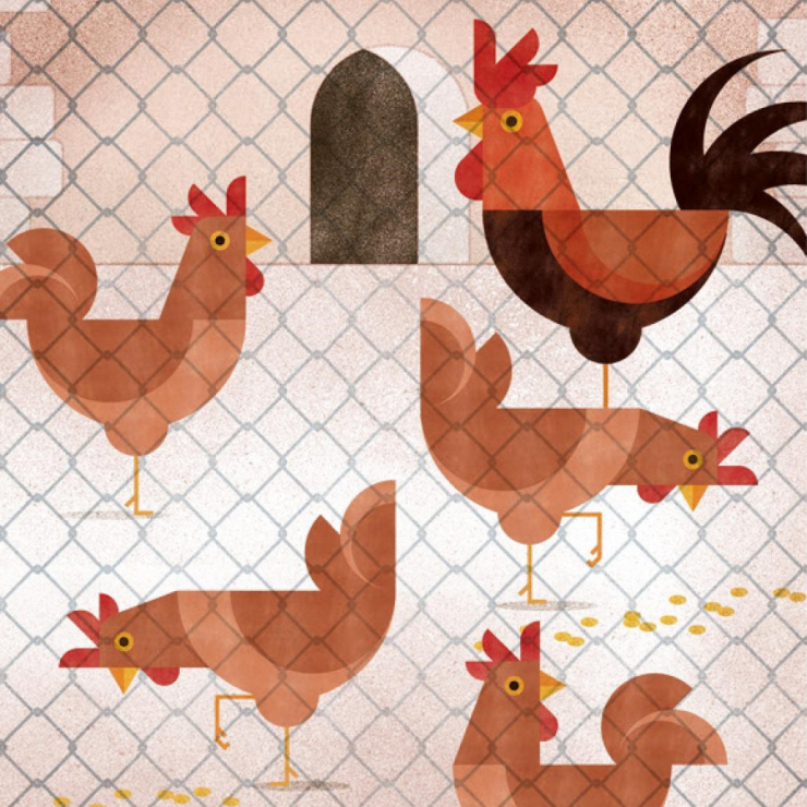 Confirmació d'un nou cas de grip aviària H5N1 als Aiguamolls de l'Empordà