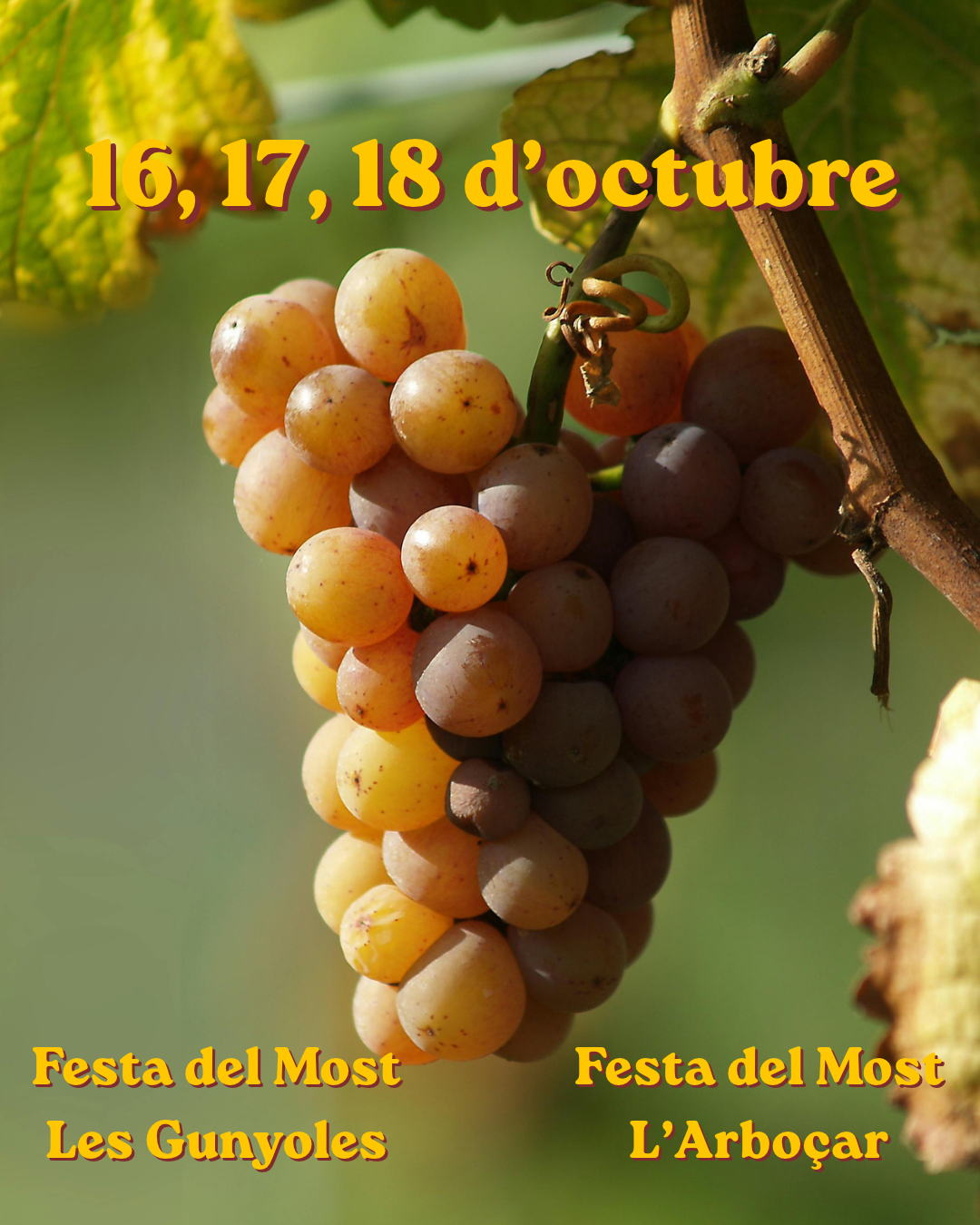 Doble celebraci&oacute; de Festes del Most aquest cap de setmana al municipi 