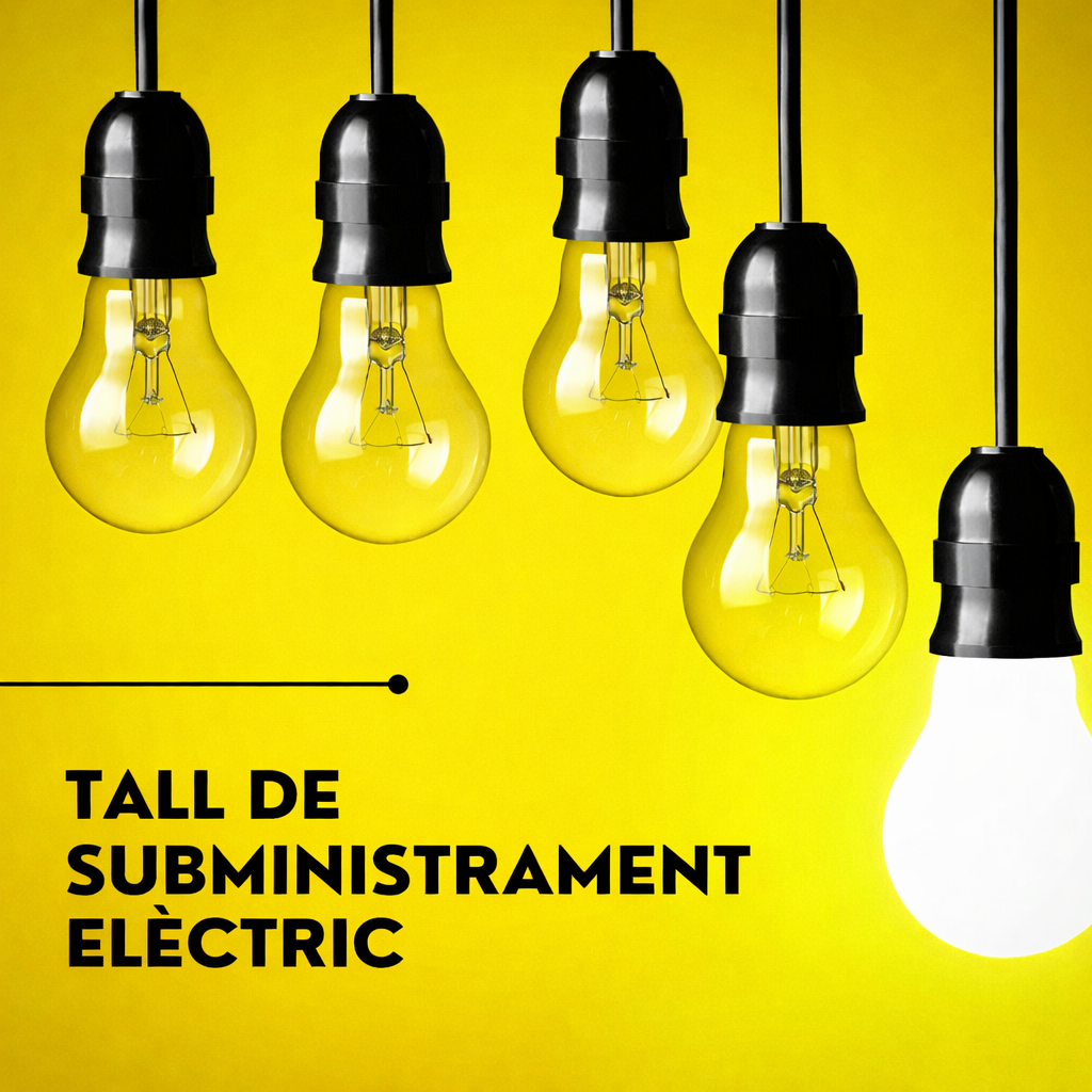 Tall programat de subministrament el&egrave;ctric per treballs de manteniment 2 de febrer Aviny&oacute; Nou