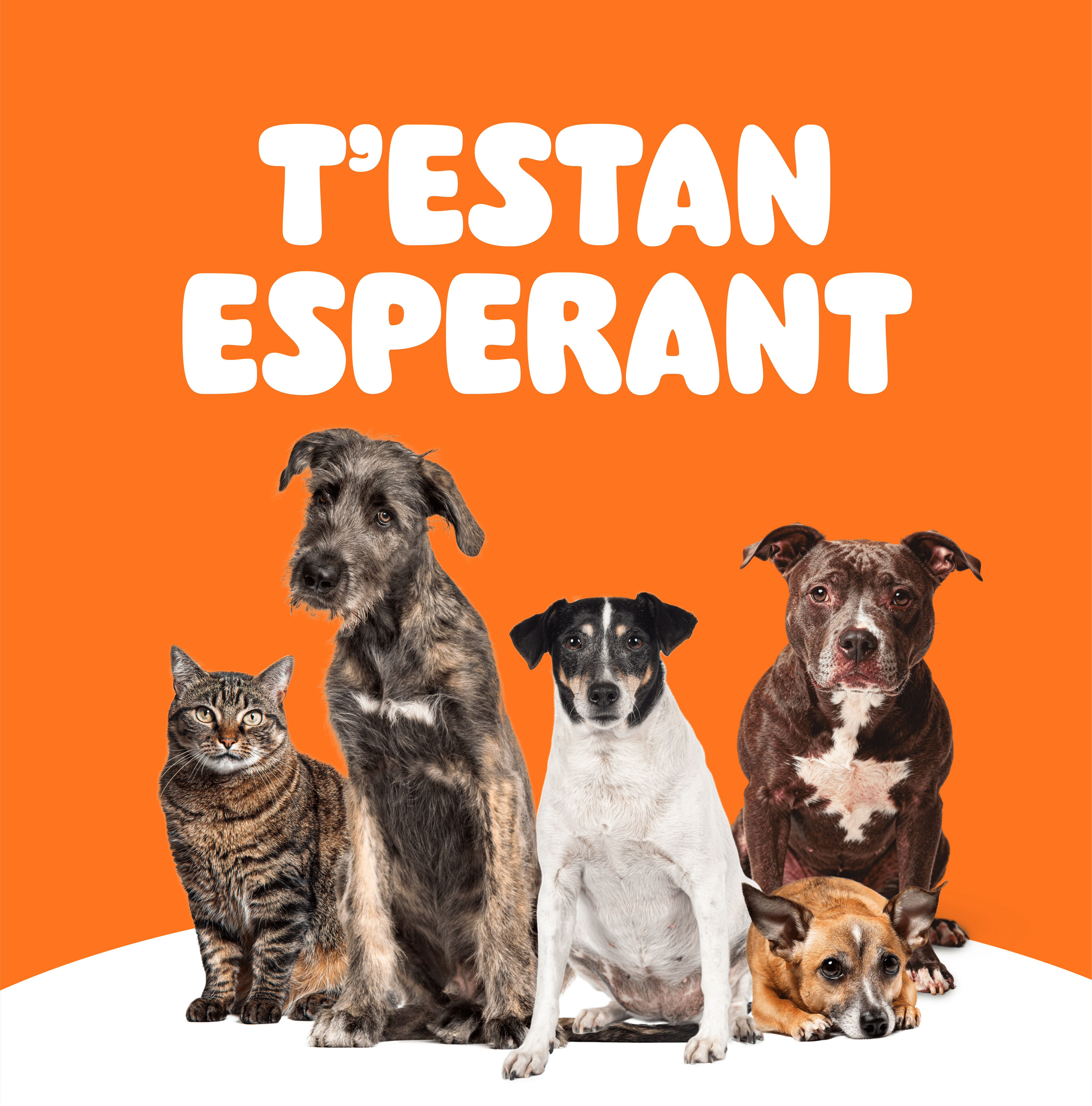 T'estan esperant